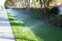 water sprinklers watering the lawn
